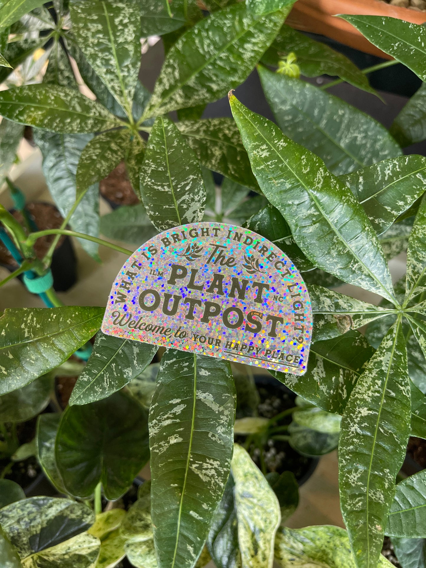 Glitter Sticker!