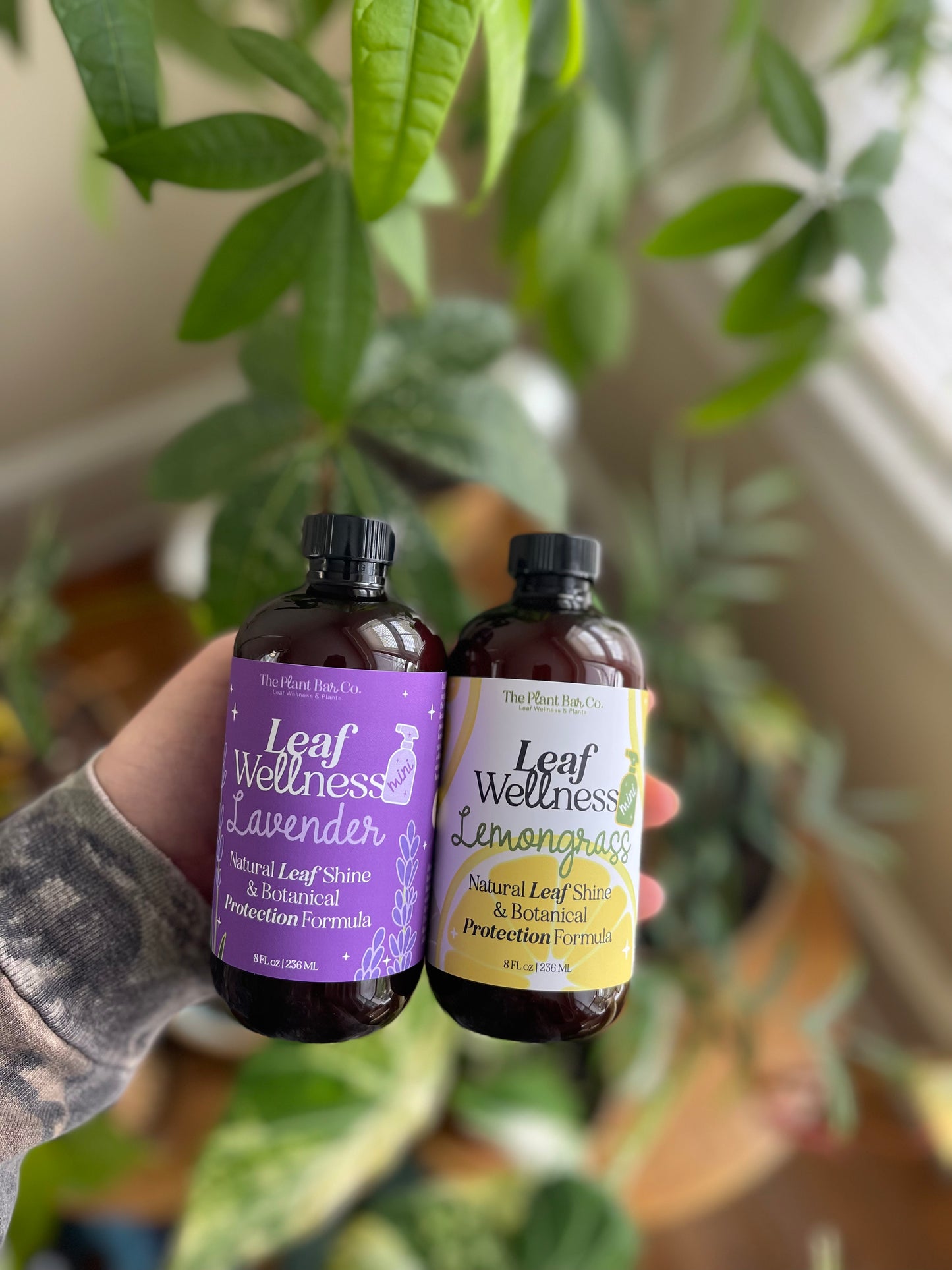Leaf Wellness *MINI*
