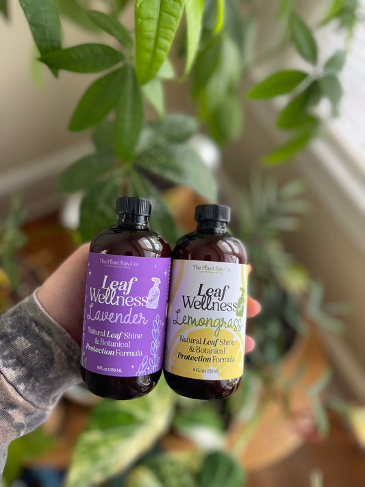 Leaf Wellness *MINI*