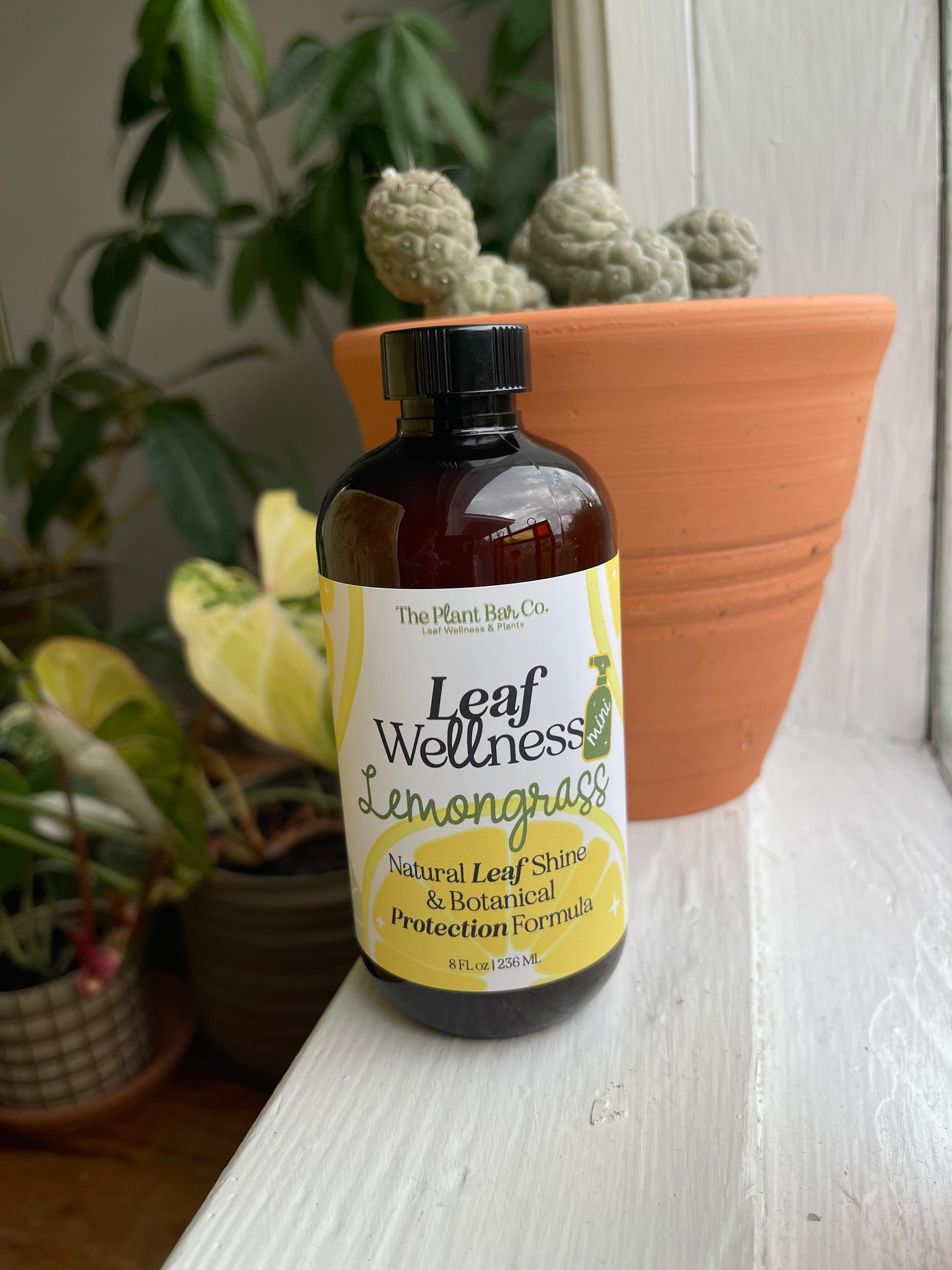 Leaf Wellness *MINI*