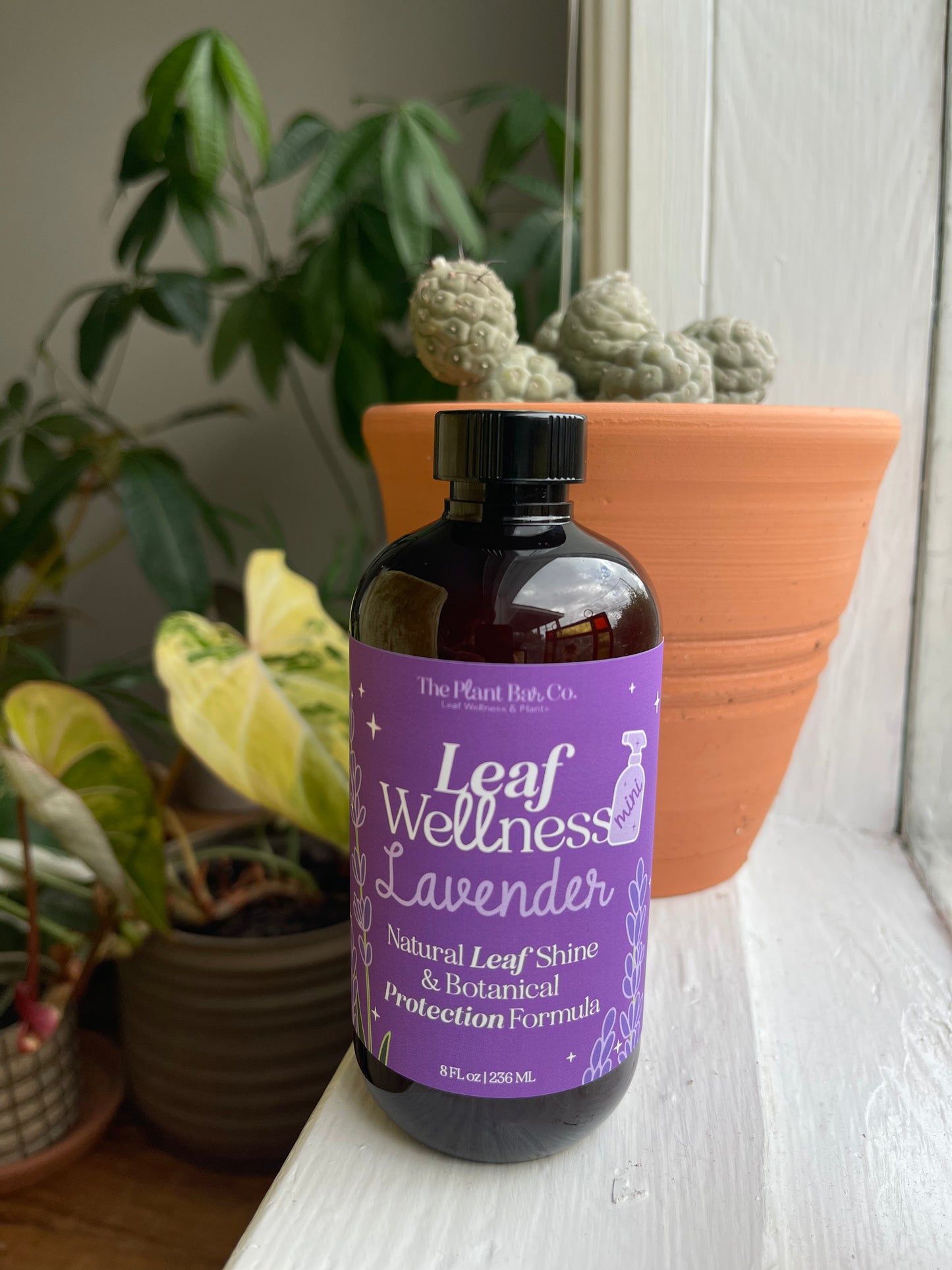 Leaf Wellness *MINI*