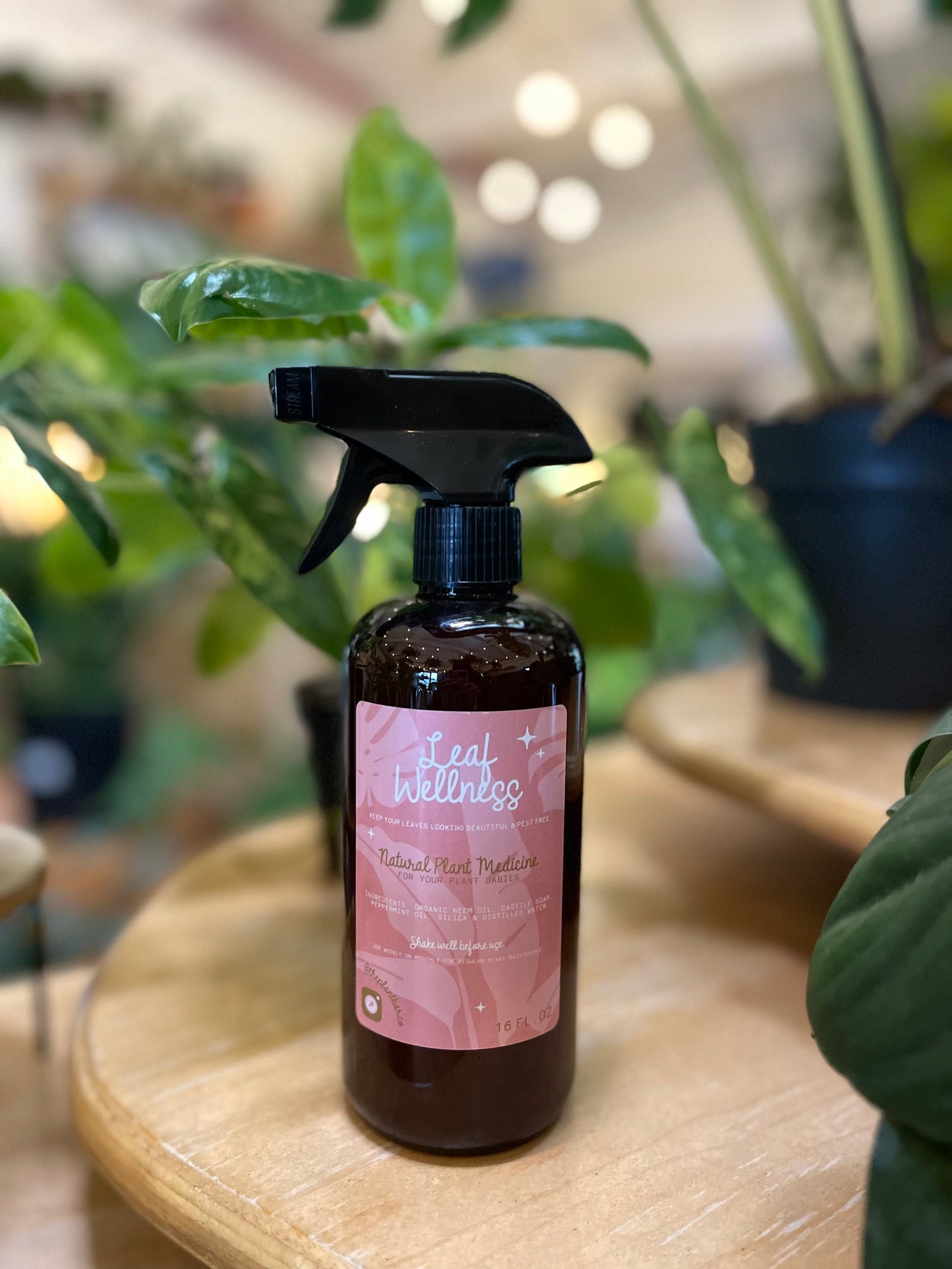 leaf wellness natural plant medicine spray bottle